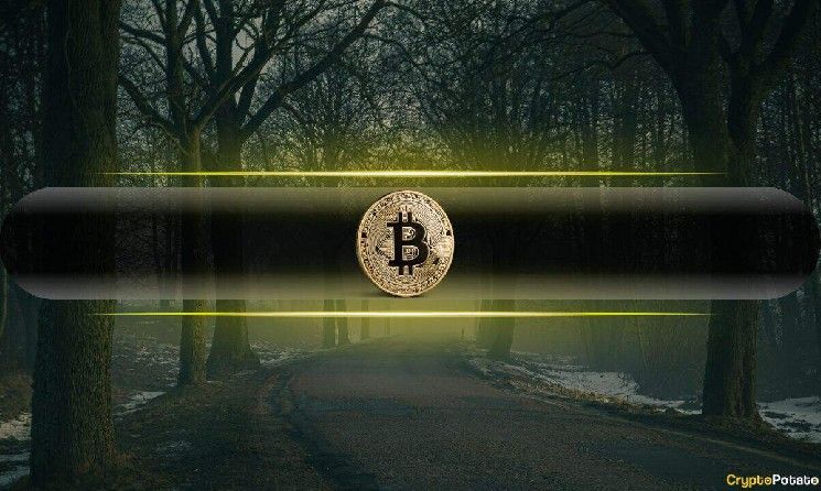 هل هذا هو السبب الخفي وراء انهيار البيتكوين إلى 23 ألف دولار في 6 أسابيع فقط؟
