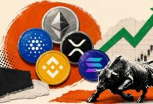 العملات البديلة ليست ميتة، لكن عصر الأموال السهلة انتهى: CryptoQuant