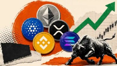 العملات البديلة ليست ميتة، لكن عصر الأموال السهلة انتهى: CryptoQuant