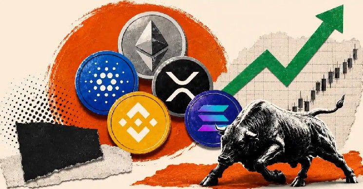 العملات البديلة ليست ميتة، لكن عصر الأموال السهلة انتهى: CryptoQuant