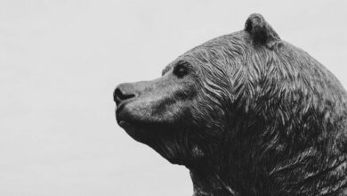 شهدت عملة XRP موجة استسلام حادة مع انخفاض حاد في نسبة الربح إلى الخسارة المحققة
