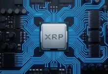 تطبيق أمازون يُثير شائعات XRP مجدداً دون أدلة