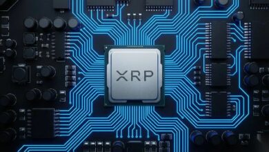 تطبيق أمازون يُثير شائعات XRP مجدداً دون أدلة