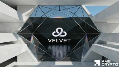 ارتفاع بنسبة 385% بعد تصحيح 84% – كيف تفك شيفرة اتجاهات سعر VELVET؟