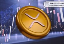 محافظ XRP للأفراد تشكل أكثر من 93% من إجمالي 7.9 مليون عنوان XRP