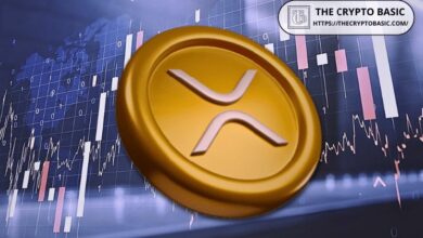 محافظ XRP للأفراد تشكل أكثر من 93% من إجمالي 7.9 مليون عنوان XRP