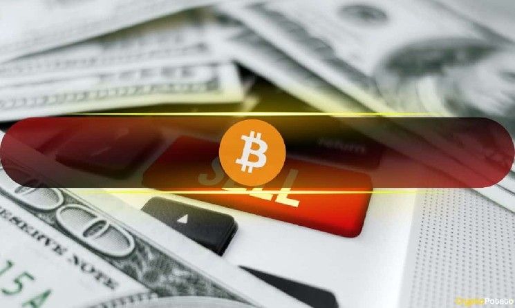 استنفاد البائعين؟ بيانات السلسلة تشير إلى انتقال نحو مرحلة متأخرة من الاستسلام
