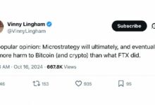 فيني لينغهام يتوقع أن يسبب سايلور ضررًا للبيتكوين أكثر من FTX.. والآن يشرح السبب