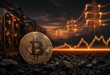 نموذج تكلفة تعدين البيتكوين يشير إلى أرضية سعرية عند 47,000 دولار، لكن المحللين يدعون إلى الحذر