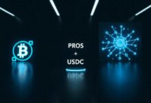 شبكة فاروس تُضيف خيارات الدفع بعملتي PROS وUSDC لخدمات نماذج الذكاء الاصطناعي