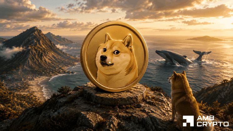 **هل اشترت حيتان Dogecoin 240 مليون DOGE في أسبوع؟ هل تشكل القاع أخيرًا؟**
