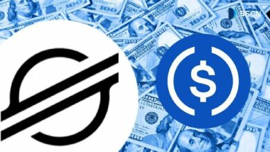 USDC على ستيلار: لماذا اختارت Circle الشبكة لتطوير عملة مستقرة رئيسية