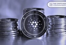 كاردانو تحتل المرتبة الرابعة كأكثر الشبكات اللامركزية
