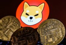 حوت Shiba Inu (SHIB) المبكر بدأ البيع: يمتلك حصة كبيرة من المعروض