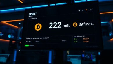 تنبيه الحيتان: تحويل 233 مليون دولار من عملة USDT من RenrenBit إلى Bitfinex في صفقة واحدة