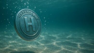 التنقل في "HYPE": مناطق رئيسية قد تحدد مسار المستقبل