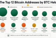 داخل أكبر 12 محفظة بيتكوين: من يمتلك 1.35 مليون BTC؟