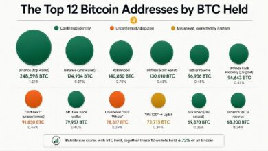 داخل أكبر 12 محفظة بيتكوين: من يمتلك 1.35 مليون BTC؟