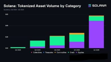 أصول سولانا الرمزية تسجل 5.8 مليار دولار في الربع الثاني بارتفاع 114% مع تضاعف حجم تداول الأسهم 4 مرات