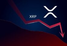 اختراق زخم تدفقات صناديق XRP المتداولة بعد شهرين من الانقطاع.. وخسارة فرصة انتعاش السوق الأمريكي الضخم