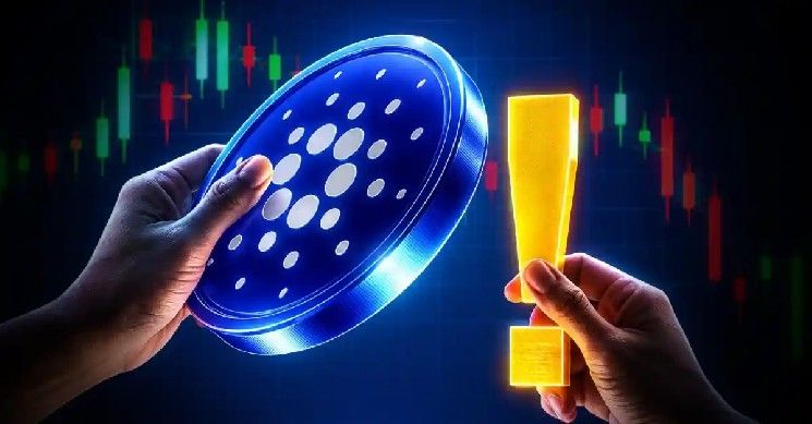 توقعات سعر كاردانو: محلل يشير إلى أن شراء الحيتان وضجيج الصناديق المتداولة قد ينبئ بقاع السوق