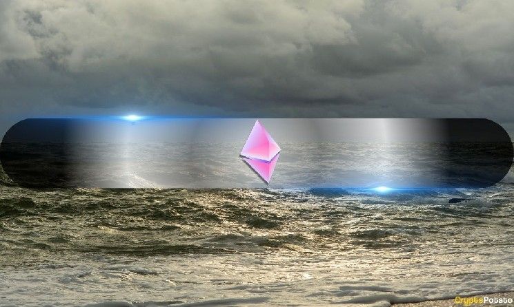 إيثيريوم المغلف يسجل رقمًا قياسيًا للحيتان في 5 سنوات: لماذا هذا مهم لـ ETH