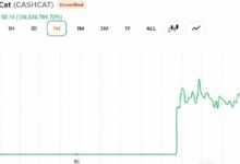 تاجر باع عملته CASHCAT مقابل 711 دولارًا بدلاً من التقاعد: إليك الحسابات