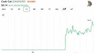 تاجر باع عملته CASHCAT مقابل 711 دولارًا بدلاً من التقاعد: إليك الحسابات