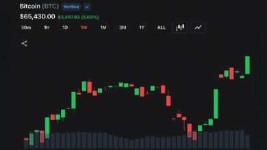 بيتكوين تخترق 65 ألف دولار مع تراجع التضخم ليشعل أسعار الأسهم والذهب والعملات الرقمية