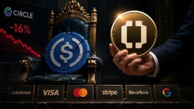 كوين بيس ساعدت في بناء USDC – فلماذا تدعم الآن عملة Open USD التي تسعى لاستبدالها؟