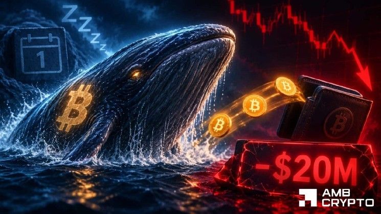 حوت بيتكوين يفرغ 625 BTC: هل يستطيع الحائزون على المدى الطويل تثبيت الأسعار؟