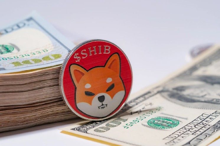 665 مليار شيبا إينو (SHIB) مسجلة، لكن هل سيرتفع السعر؟