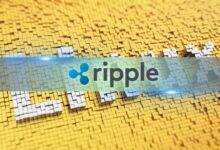 ريبل، كوينبيز، وسيركل ينضمون إلى مؤسسة لينكس x402 للمساعدة في تشكيل مدفوعات الذكاء الاصطناعي