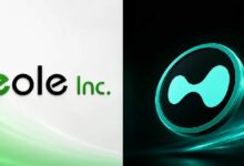 Eole تُنفّذ أول استحواذ خزينة على عملة HYPE في اليابان، وتستهدف حصة بقيمة 611 ألف دولار