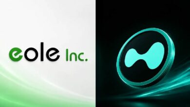 Eole تُنفّذ أول استحواذ خزينة على عملة HYPE في اليابان، وتستهدف حصة بقيمة 611 ألف دولار