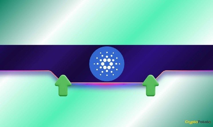 لماذا ارتفعت كاردانو (ADA) بنسبة 15% خلال أسبوع؟