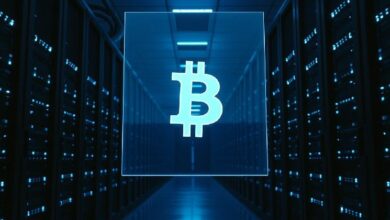 بيانات فائقة النطاق تتجاوز 1,000 بيتكوين في الخزانة، وتستهدف استراتيجية الضمانات