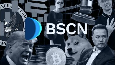 لماذا وضعت اليابان شيبا إينو في نفس قائمة البيتكوين والإيثريوم؟