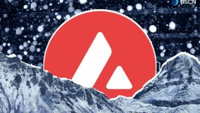 نظرة عن قرب على أساسيات Avalanche لعام 2026