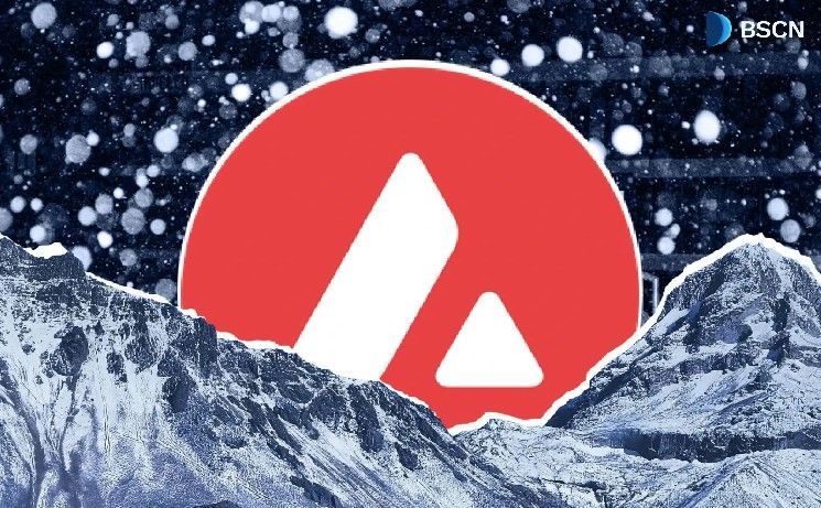 نظرة عن قرب على أساسيات Avalanche لعام 2026