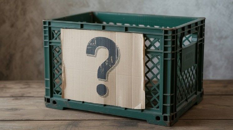 شبكة بلوكتشين شهيرة تقدم طلب إفلاس، والدائنون يتسارعون! إليكم التفاصيل