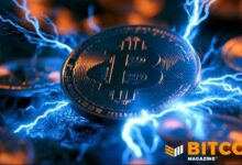 شركة ذكاء اصطناعي مدرجة في بورصة نيويورك تعتمد شبكة Lightning لدفع رواتب موظفيها بالبيتكوين