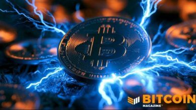 شركة ذكاء اصطناعي مدرجة في بورصة نيويورك تعتمد شبكة Lightning لدفع رواتب موظفيها بالبيتكوين