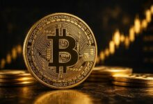 محفظة Mt. Gox ترسل 47,228 بيتكوين إلى Bitstamp مع تسريع سداد الدائنين
