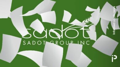 مجموعة "سادوت" تنهار بنسبة 72% وتتوقف 5 مرات بعد تقرير بائعي المكشوف