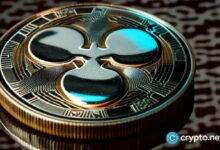 منصة ريبل الأخرى: ماذا يشتري 48 مليون دولار في السياسة