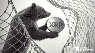 هل منطقة سعر 1 دولار لـ XRP فخ هبوطي؟ إليك ما تشير إليه البيانات