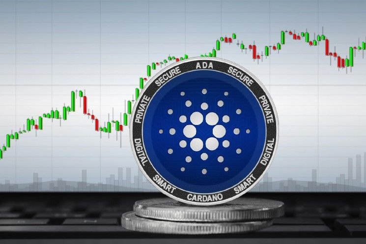 16.1 مليون دولار من عملة كاردانو (ADA) مستغلة: SecondFi تكشف خطة إعادة الأموال المسروقة