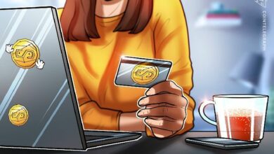 الشركات الصغيرة المعتمدة على الذكاء الاصطناعي قد تحقق 262 مليار دولار من حجم العملات المستقرة بحلول 2033: تقرير Swyftx
