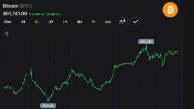 بيتكوين تخترق 62,000 دولار بعد إضافة الحيتان 270,000 بيتكوين، متسببة في خسائر قصيرة بقيمة 130 مليون دولار